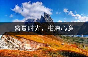 盛夏時(shí)光，柑涼心意