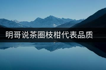 明哥說(shuō)茶圈枝柑代表品質(zhì)高點(diǎn)，是玩家級(jí)的產(chǎn)品