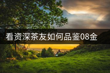 看資深茶友如何品鑒08金斗