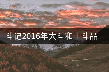 斗記2016年大斗和玉斗品鑒對比
