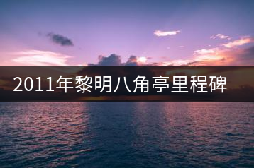 2011年黎明八角亭里程碑青餅開湯品鑒
