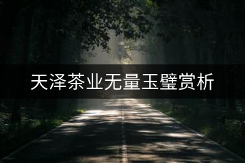 天澤茶業(yè)無量玉璧賞析