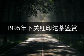 1995年下關紅印沱茶鑒賞