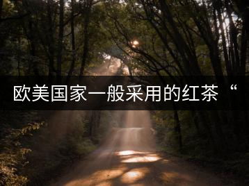 歐美國(guó)家一般采用的紅茶“調(diào)飲法”