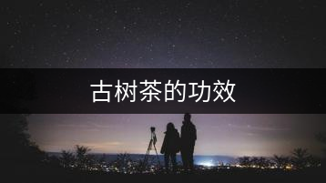古樹茶的功效