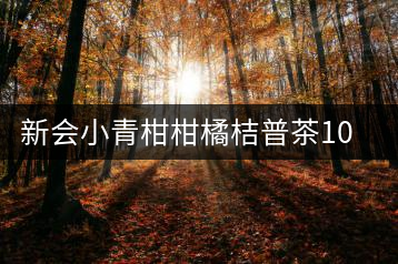 新會(huì)小青柑柑橘桔普茶10年陳宮廷陳皮普洱茶熟茶禮盒裝 皇譽(yù)茶葉