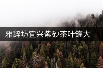雅辭坊宜興紫砂茶葉罐大號四餅普洱存儲茶罐缸家用密封罐陶瓷茶具