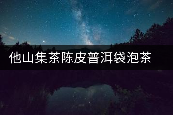 他山集茶陳皮普洱袋泡茶普洱茶熟茶陳皮柑橘黑茶葉冷泡三角茶包