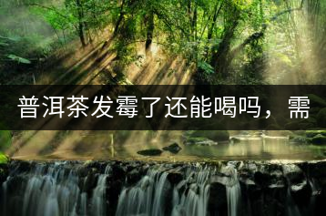 普洱茶發(fā)霉了還能喝嗎，需要怎么處理？