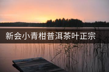 新會小青柑普洱茶葉正宗陳皮普洱茶熟茶桔普茶小柑橘普茶柑普茶