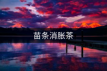 苗條消脹茶