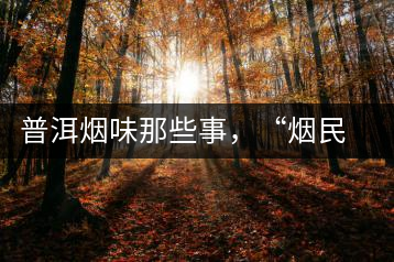 普洱煙味那些事，“煙民”不怕當(dāng)