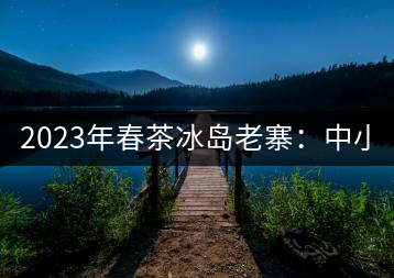 2023年春茶冰島老寨：中小樹混采2500-3000元／公斤，大樹：7000-8000元／公斤，古樹混采：28000-36000元／公斤