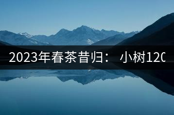 2023年春茶昔歸： 小樹(shù)1200-1600元／公斤，大樹(shù)4500-5200元／公斤，古樹(shù)7500-9000元／公斤.