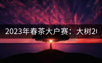 2023年春茶大戶賽：大樹200-300元／公斤，古樹800-1000元／公斤