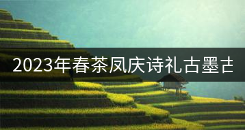 2023年春茶鳳慶詩(shī)禮古墨古樹茶：1200-1500元／公斤
