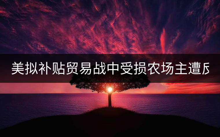 美擬補(bǔ)貼貿(mào)易戰(zhàn)中受損農(nóng)場主遭反對: 只要市場 美擬補(bǔ)貼貿(mào)易戰(zhàn)中受損農(nóng)場主遭反對: 只要市場