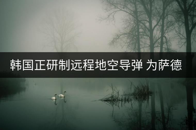 韓國正研制遠(yuǎn)程地空導(dǎo)彈 為薩德系統(tǒng)作補(bǔ)充 韓國正研制遠(yuǎn)程地空導(dǎo)彈 為薩德系統(tǒng)作補(bǔ)充