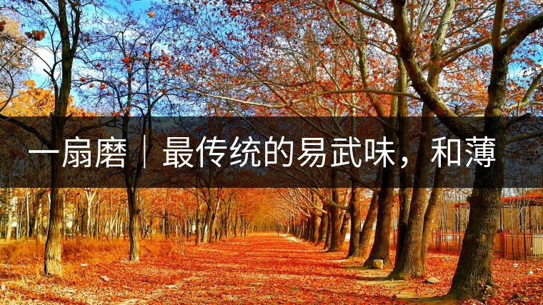 一扇磨｜最傳統(tǒng)的易武味，和薄荷塘一脈同宗，價(jià)格卻天差地別
