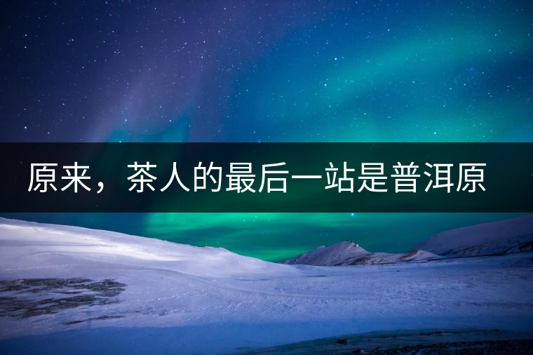 原來，茶人的最后一站是普洱原來，茶人的最后一站是普洱