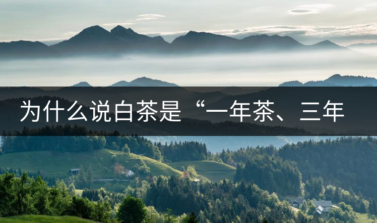 為什么說白茶是“一年茶、三年藥、七年寶”?為什么說白茶是“一年茶、三年藥、七年寶”？