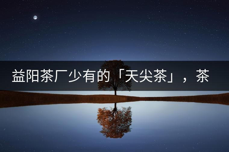 益陽茶廠少有的「天尖茶」，茶品升級，收藏趁早！