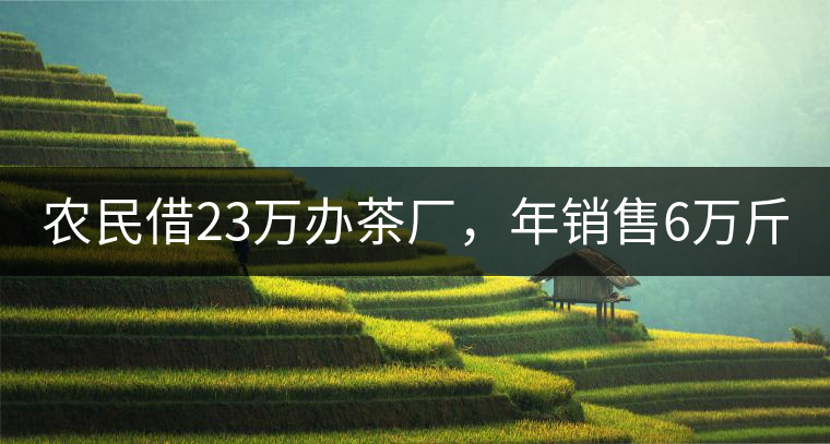 農(nóng)民借23萬辦茶廠，年銷售6萬斤，每天休息僅20分鐘!農(nóng)民借23萬辦茶廠，年銷售6萬斤，每天休息僅20分鐘！