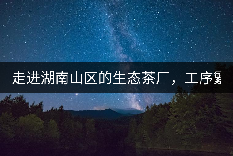 走進湖南山區(qū)的生態(tài)茶廠，工序繁雜精細，538塊錢1斤真值走進湖南山區(qū)的生態(tài)茶廠，工序繁雜精細，538塊錢1斤真值