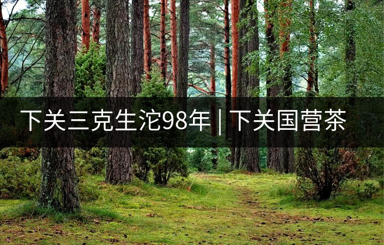 下關(guān)三克生沱98年 | 下關(guān)國營茶廠出口料，干倉儲存，...下關(guān)三克生沱98年 | 下關(guān)國營茶廠出口料，干倉儲存，19年老茶！