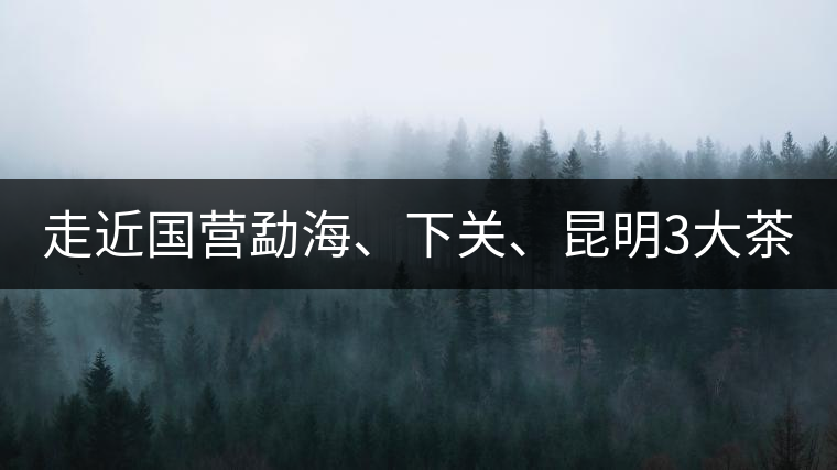 走近國(guó)營(yíng)勐海、下關(guān)、昆明3大茶廠，傳世代表作的發(fā)展詳...走近國(guó)營(yíng)勐海、下關(guān)、昆明3大茶廠，傳世代表作的發(fā)展詳解