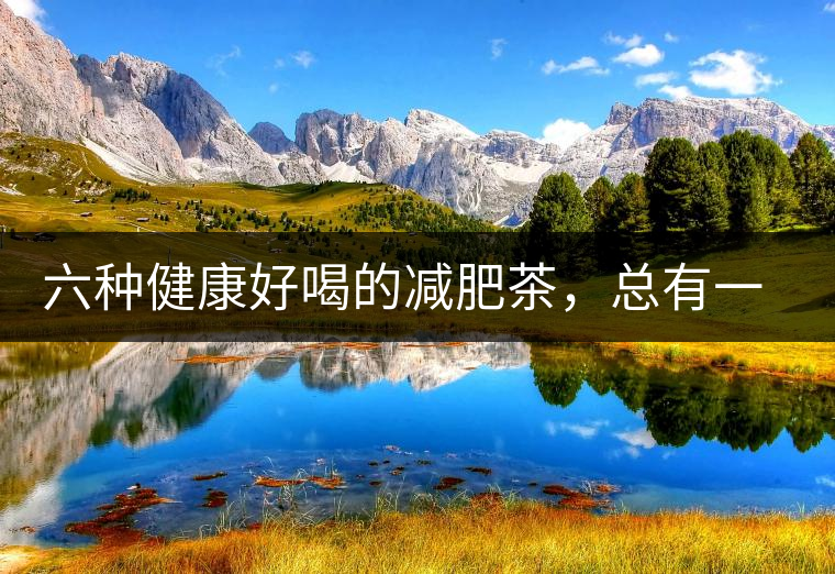 六種健康好喝的減肥茶，總有一種適合你