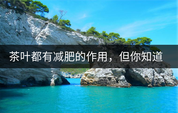茶葉都有減肥的作用，但你知道哪種茶減肥的效果最好嗎?