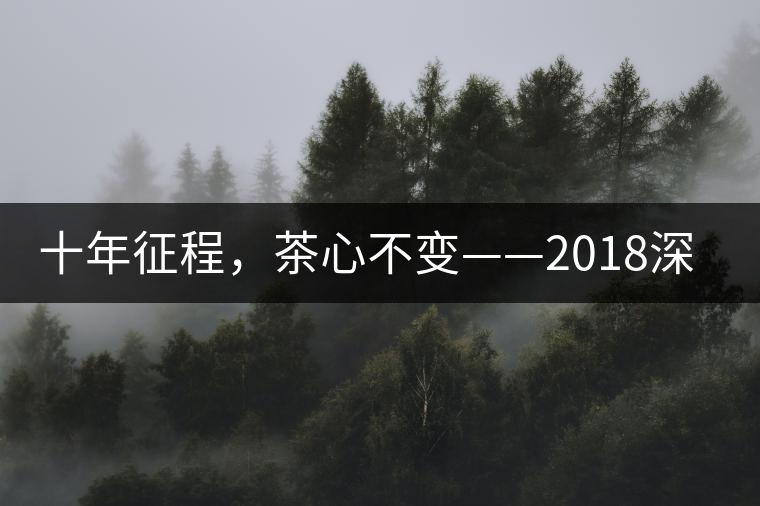 十年征程，茶心不變——2018深圳秋季茶博會12月13日隆重開幕！