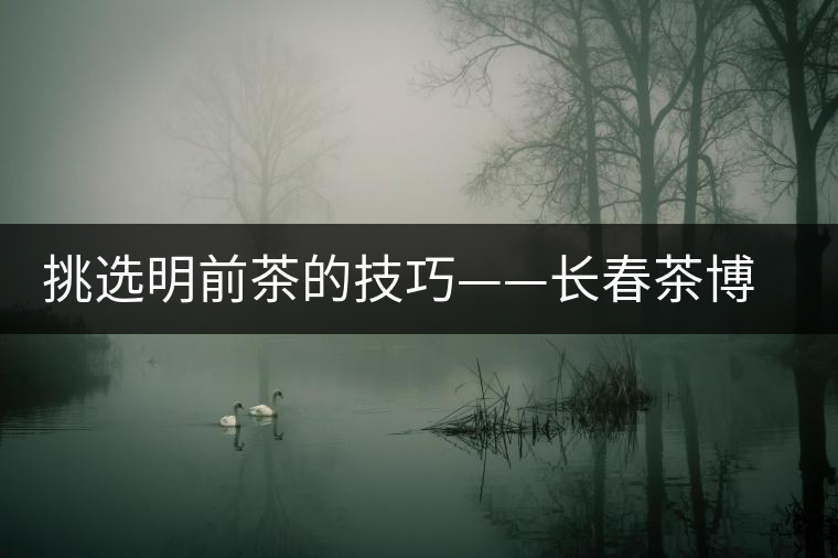 挑選明前茶的技巧——長(zhǎng)春茶博會(huì) 挑選明前茶的技巧——長(zhǎng)春茶博會(huì)
