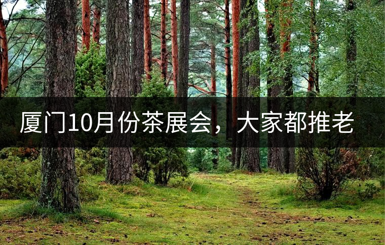 廈門10月份茶展會，大家都推老茶跟各種高端手工茶器