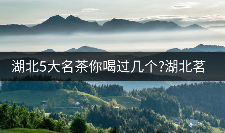 湖北5大名茶你喝過幾個?湖北茗茶的歷史故事?湖北茶哪...湖北5大名茶你喝過幾個？湖北茗茶的歷史故事？湖北茶哪個產(chǎn)地好
