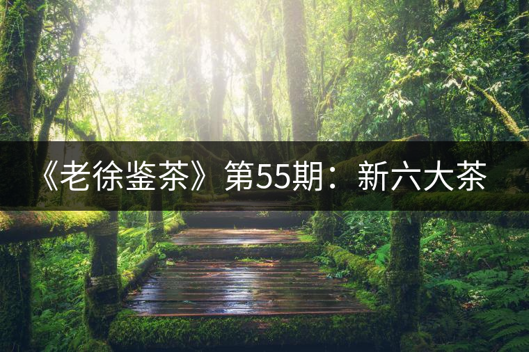 《老徐鑒茶》第55期：新六大茶山景邁山2017年普洱茶生茶品鑒報告