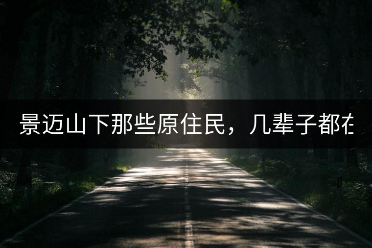 景邁山下那些原住民，幾輩子都在采茶、制茶，才有最...景邁山下那些原住民，幾輩子都在采茶、制茶，才有最好喝的普洱