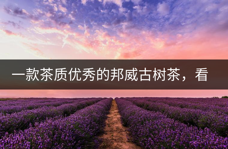 一款茶質(zhì)優(yōu)秀的邦威古樹茶，看看值多少錢？