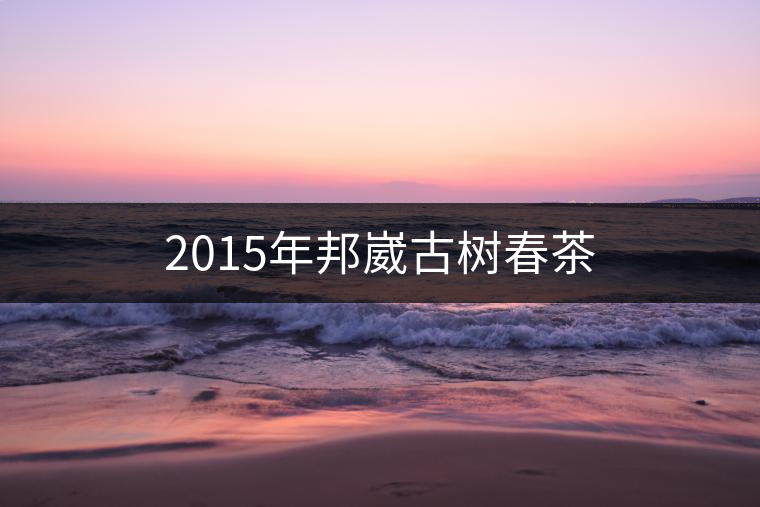2015年邦崴古樹春茶