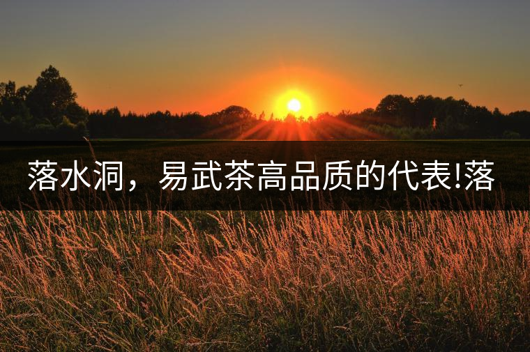 落水洞，易武茶高品質的代表!落水洞，易武茶高品質的代表！
