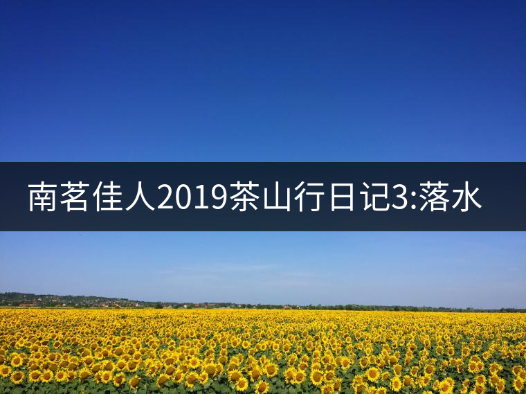 南茗佳人2019茶山行日記3:落水洞--200多年建村歷史，...南茗佳人2019茶山行日記3：落水洞——200多年建村歷史，靈動清越