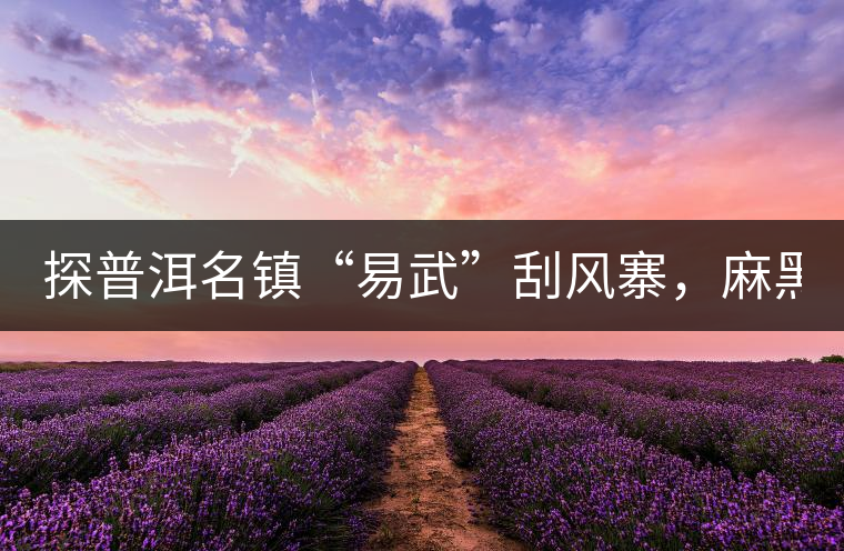 探普洱名鎮(zhèn)“易武”刮風(fēng)寨，麻黑，落水洞!小編親自下...探普洱名鎮(zhèn)“易武”刮風(fēng)寨，麻黑，落水洞！小編親自下手“殺青”