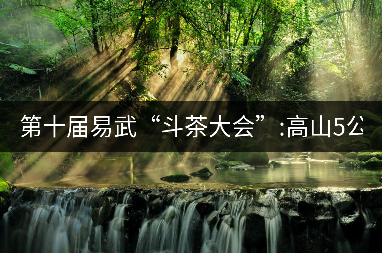 第十屆易武“斗茶大會(huì)”:高山5公斤15萬，刮風(fēng)寨5公斤...第十屆易武“斗茶大會(huì)”：高山5公斤15萬，刮風(fēng)寨5公斤30萬...