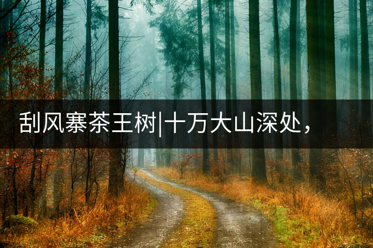 刮風(fēng)寨茶王樹(shù)|十萬(wàn)大山深處，鮮為人知的王者刮風(fēng)寨茶王樹(shù)｜十萬(wàn)大山深處，鮮為人知的王者