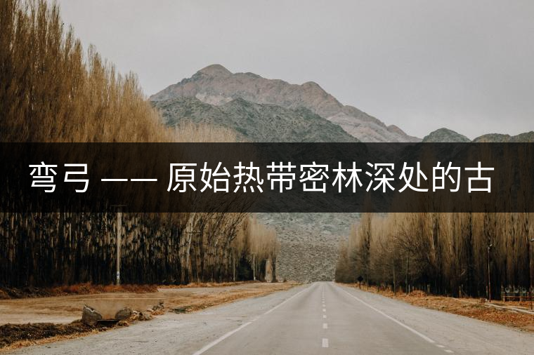彎弓 —— 原始熱帶密林深處的古茶園