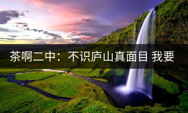 茶啊二中：不識廬山真面目 我要彎弓射大雕