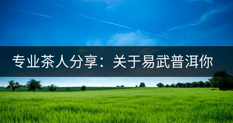 專業(yè)茶人分享：關于易武普洱你不可不知的幾大方面