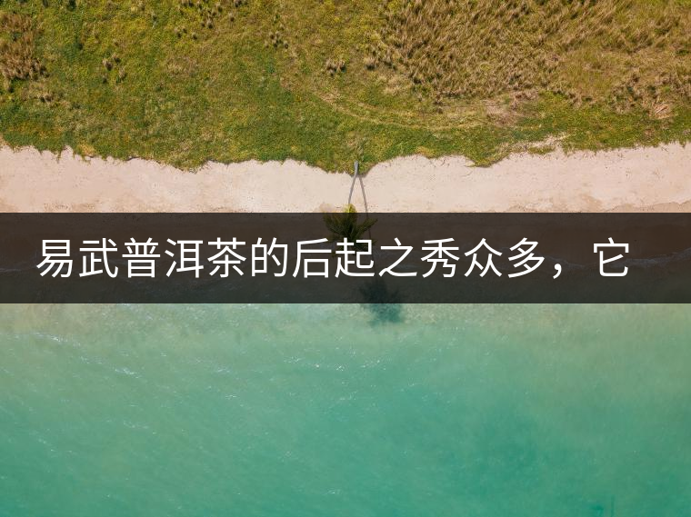 易武普洱茶的后起之秀眾多，它是還沒漲價的一個！