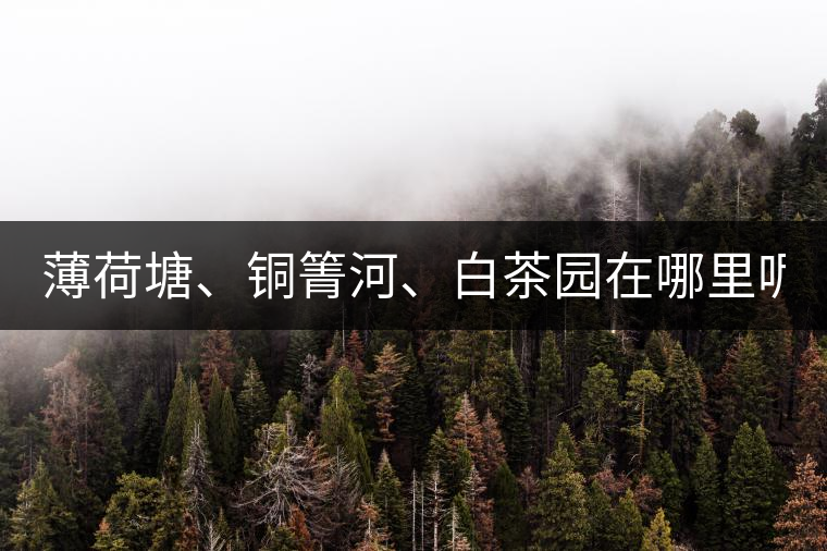 薄荷塘、銅箐河、白茶園在哪里呢?薄荷塘、銅箐河、白茶園在哪里呢？